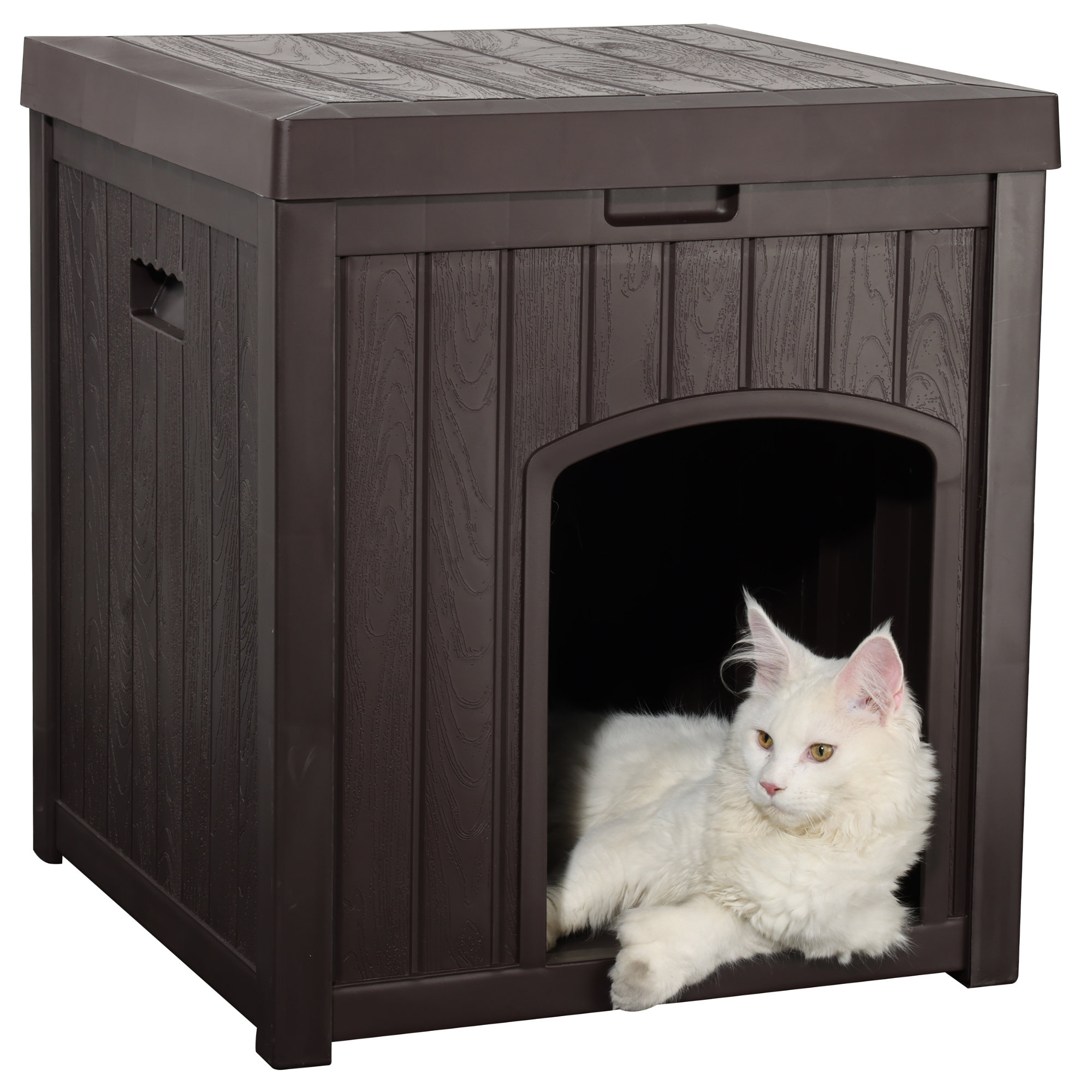 Archie Oscar Outdoor Cat Litter Box Enclosure with Flip Lid Multiple Feral Cat House Waterproof Small Dog House Wayfair